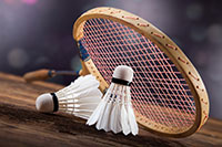 Badminton Sportart