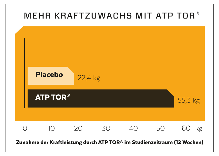 ATP_Diagram.jpg