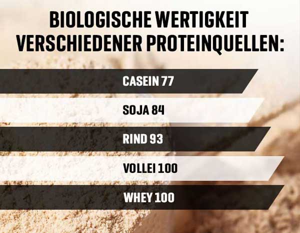 Biologische Wertigkeit