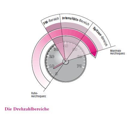 Grafik – Herzfrequenz dargestellt im Drehzahlbereich