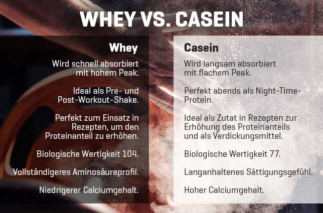 Whey_vs_Casein.jpg