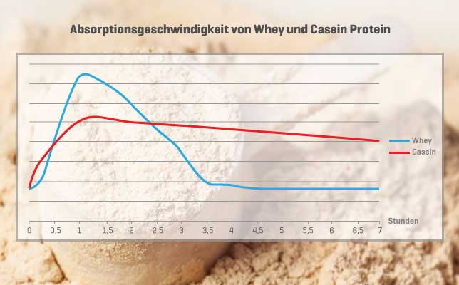 Absorptionsgeschwindigkeit_Whey_Casein.jpg